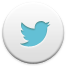 twitter-icon